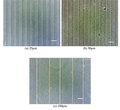 PDMS stamps with a 25µm b 50µm and c 100µm width scale bar 50µm