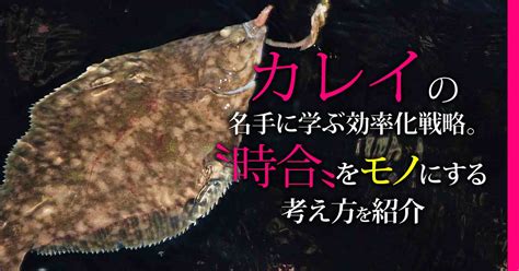 カレイの名手に学ぶ効率化戦略｡〝時合〟をモノにする考え方を紹介 関西のつりweb 釣りの総合情報メディアmeme