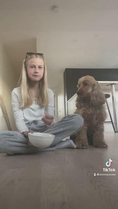 Verdal, TikTok | Filmet hundevideo på stua - nå er videoen med Johanna (11) fra Verdal og hunden ...