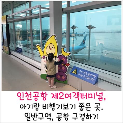 인천공항제2여객터미널 인천공항 제2여객터미널에서 아기랑 비행기 봤어요 네이버 블로그