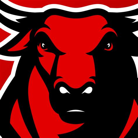 Chicago Bulls logo concept on Behance