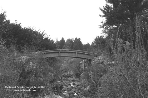 Arnold Arboretum: Fall