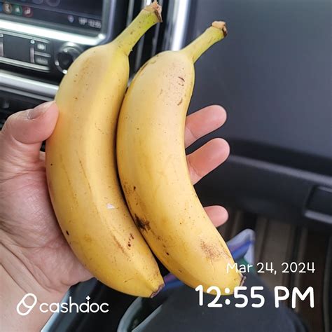 324일바나나🍌🍌 충전 마인드키 커뮤니티