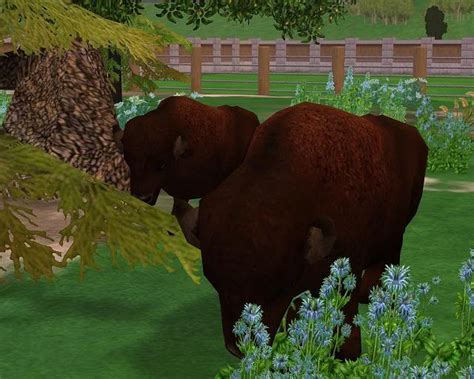 Caucasian Wisent - Zoo Tycoon 2 - ForumsClub