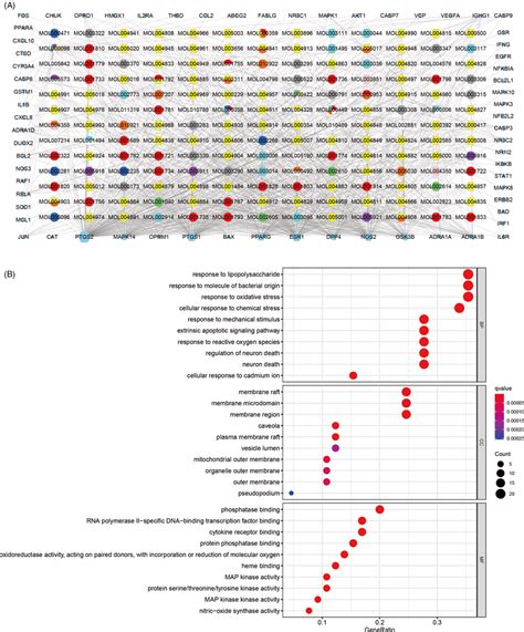 Construction of the drug‐target pharmacology network and GO enrichment ... 