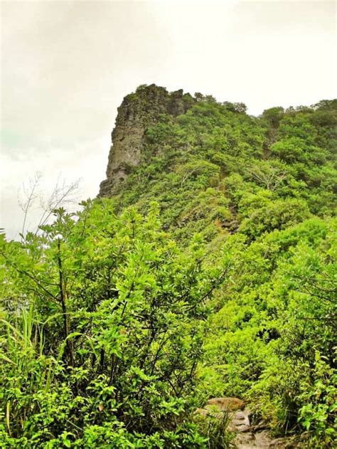 Hike Sleeping Giant Trail, Kauai: Complete 2025 Guide