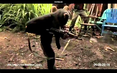 Crazy Monkey Shoots Ak 47 - Crazy Loe