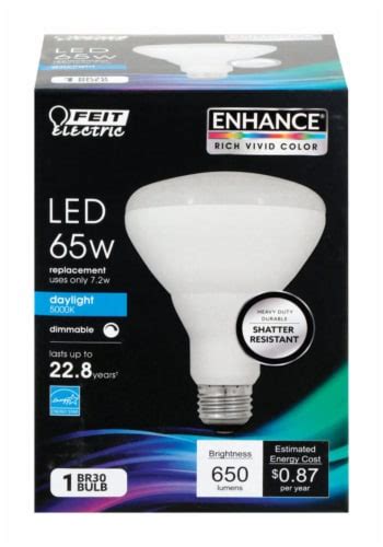 Feit Electric Br30 E26 Medium Led Bulb Daylight 65 Watt Equivalence 1 Pk Total Qty 1