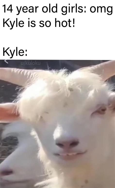 Year Old Girls Omg Kyle Is So Hot Kyle IFunny