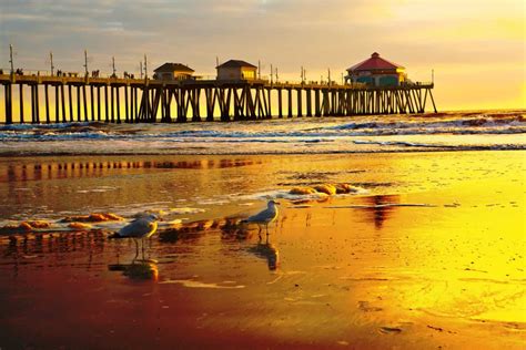 40+ of the Best Beaches in Southern California for Families