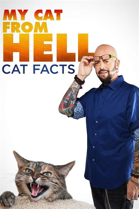 My Cat From Hell: Cat Facts - Rotten Tomatoes