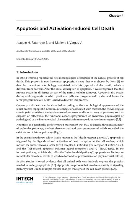 (PDF) Apoptosis and Activation-Induced Cell Death