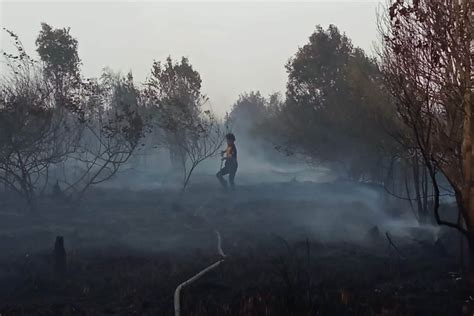 Kabut Asap Karhutla Pemkot Palangka Raya Undur Jam Masuk Sekolah