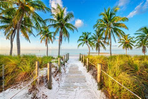 Smathers Beach Sunrise Beautifully Framed By Palm Trees Key West