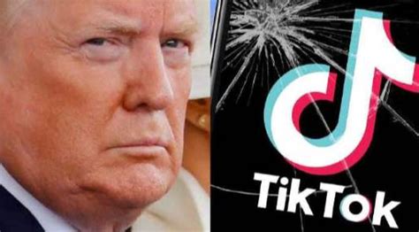 特朗普政府扬言封杀tiktok 掀“网红”反弹声浪 特朗普政府 特朗普 新浪军事 新浪网