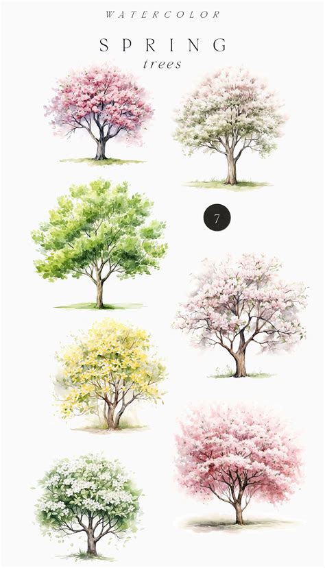 Watercolor Spring Clipart Png Spring Trees Clipart Spring Flowering Tree PNG Watercolor Spring ...