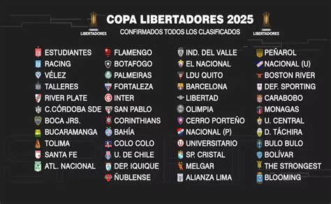 Se Confirmaron Todos Los Equipos Clasificados A La Copa Libertadores Y