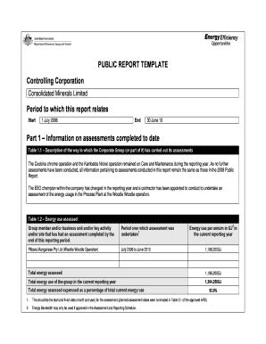 Fillable Online EEO Public Report Template 2010 Fax Email Print PdfFiller