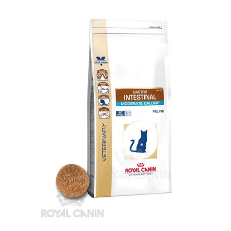 Jual Royal Canin Gastro Intestinal Gr Untuk Pencernaan Kucing