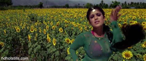 Hot Nayanthara Cleavage Show Photos From Villu Indian Actress Wallpapers Photos And Movie Stills