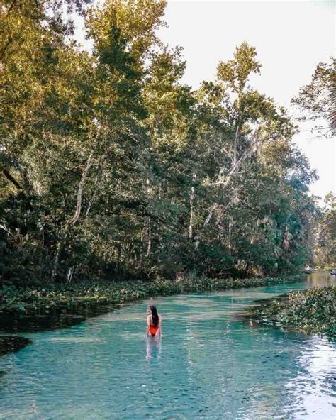 Kelly Park Rock Springs: Tubing Tips for Florida's Lazy River