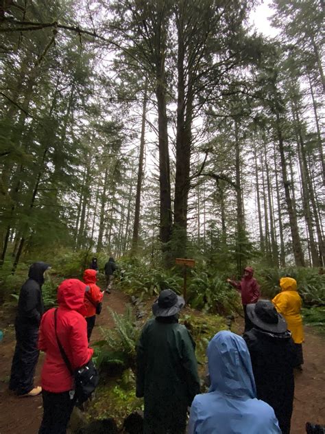 March 9 2024 Yakona Nature Preserve Audubon Society Of Lincoln City