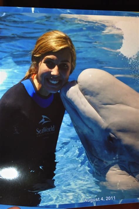 Swimming With Beluga Whales Beluga Whale Beluga Whale