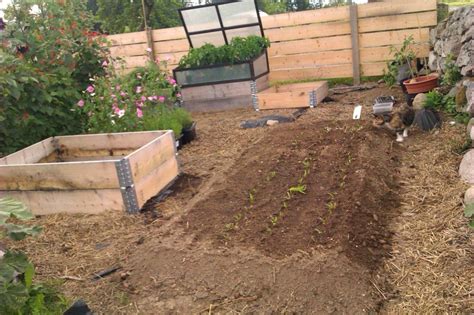 How To Create Deep Raised Beds Saras Kitchen Garden