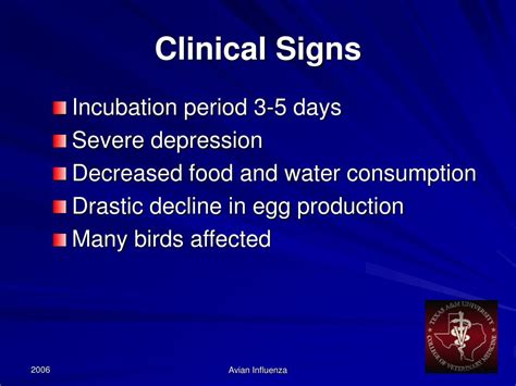 Ppt Avian Influenza Symptoms In Birds Powerpoint Presentation Free