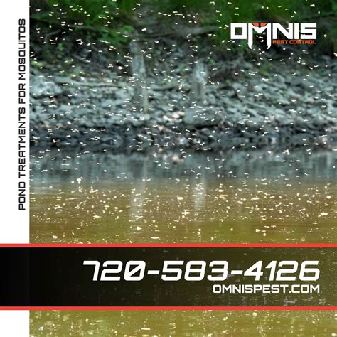 Mosquito Control for Ponds - OMNIS Pest Control