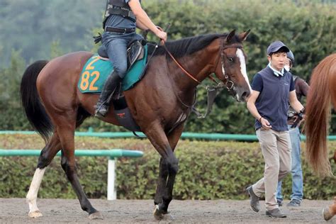 【今日の注目新馬】母は新潟2歳s勝ち馬チェンジオブハート 田中博師「血統馬らしい動き」／新潟5r｜競馬ニュース｜競馬予想のウマニティ