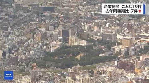 県内のことしの企業倒産19件 去年同時期比7件増加｜nhk 岩手県のニュース