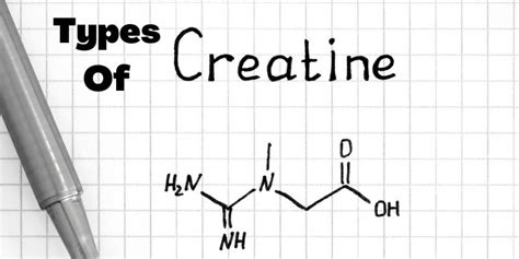 Types Of Creatine | Their Benefits and How to Take Them All | A Lean Life