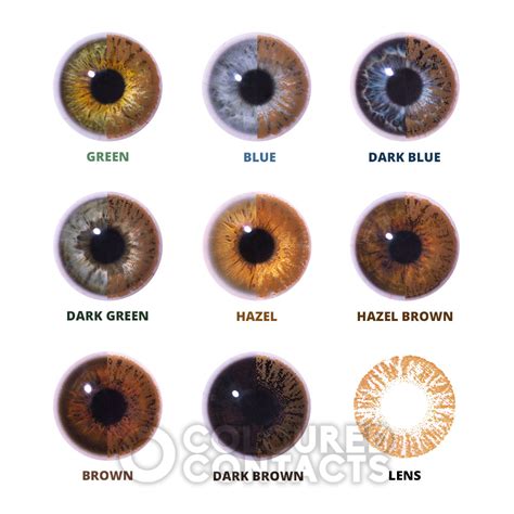 Light Brown Eye Color Chart