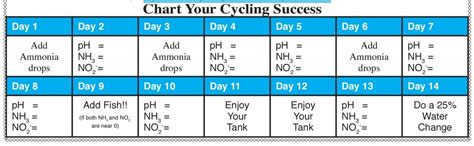 Cycling With Dr Tims One And Only Reef2reef