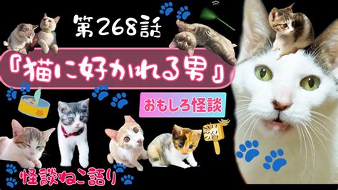 【おもしろ怪談】【猫が語る不思議な話】【猫動画】怪談ねこ語り第268話『猫に好かれる男』 Youtube