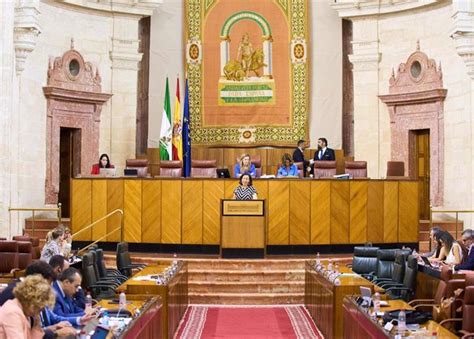 El Parlamento Andaluz Aprueba Crear Un Grupo De Trabajo Sobre Violencia