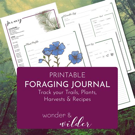 Foraging Journal And Record Book With Monthly Plant List Wonder And Wilder