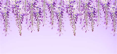 A Large Tree Has Purple Flowers On It Background, Flower, Spring ...