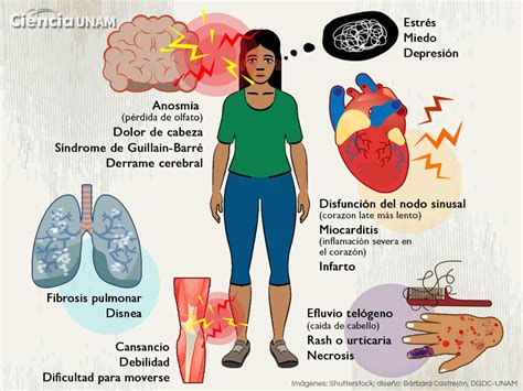 Coronavirus Las Inquietantes Secuelas De La COVID 19 Ciencia UNAM