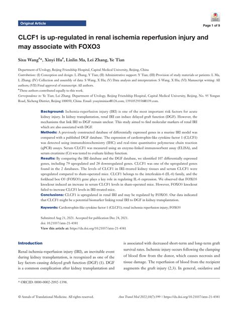 Pdf Clcf Is Up Regulated In Renal Ischemia Reperfusion Injury And