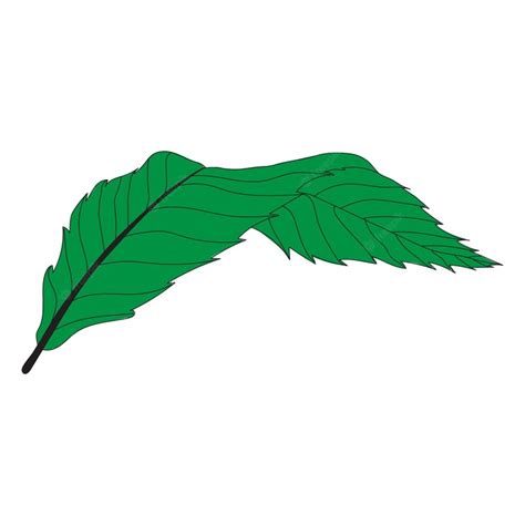 Premium Vector | Green leaf vector