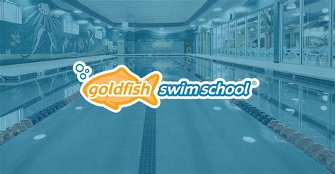 The Brand. The Model. The Curriculum. | Goldfish Swim School