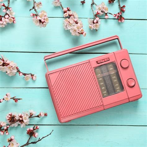 D1C42932-94B9-4C20-AB0D-F473A23C2F21 - The Shillong Times