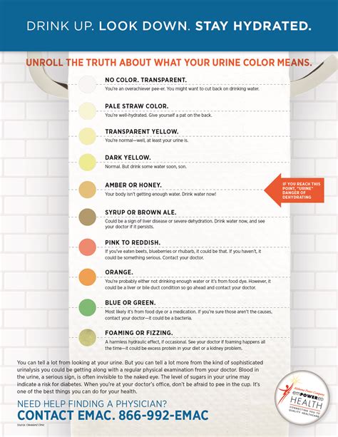 Hydration Chart Printable