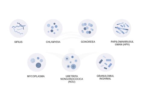 Boli Cu Transmitere Sexuala Simptome Si Diagnostic