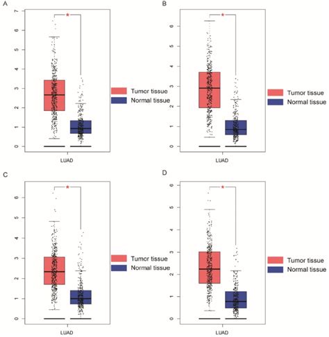 Boxplots Showing Ndc80 Complex Gene Expression Levels In Luad And