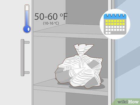 how to care for a begonia in the winter