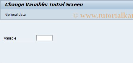 Cmv Sap Tcode Change Variable Transaction Code