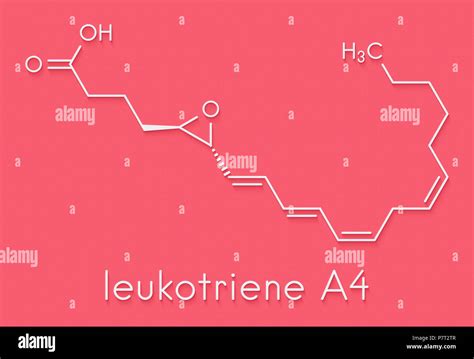 Leukotrien A Lta Molek L Skelettmuskulatur Formel Stockfotografie